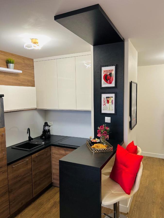 Downtown Apartments Presley Air-Conditioned Rzeszow Dış mekan fotoğraf